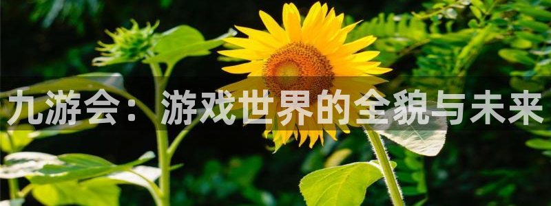 壹号娱乐app入口