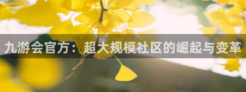 壹号娱乐(com.youad.authst)
