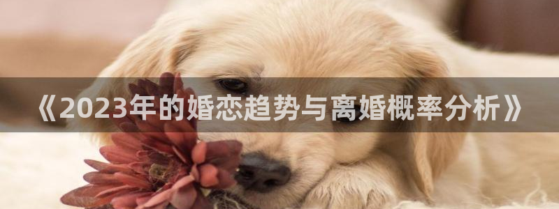 壹号娱乐app下载安装最新版