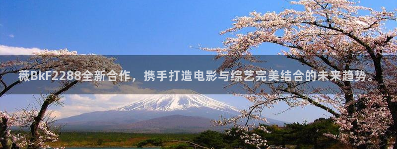 壹号app下载官方网站