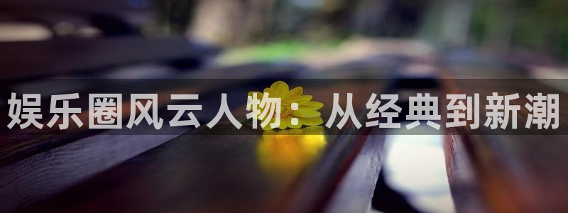 壹号下载安装