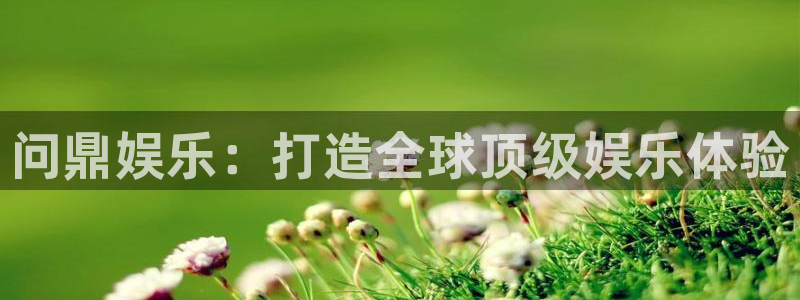 壹号app官方登录入口下载