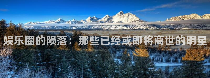 壹号娱乐,apk