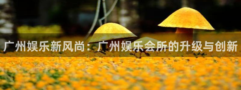 壹号电子娱乐app下载安装