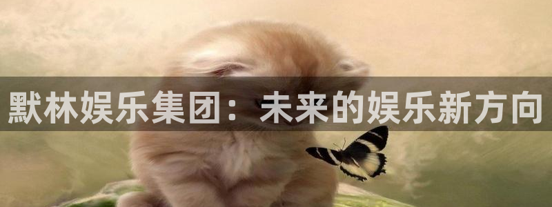 壹号app官网