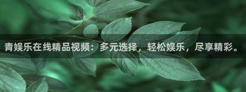 壹号娱乐充值怎么退款
