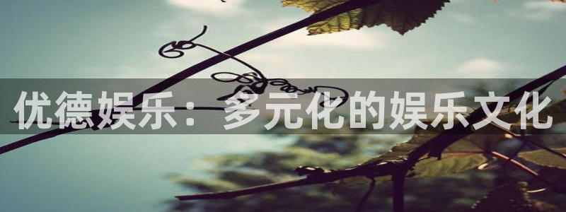 壹号娱乐app官网