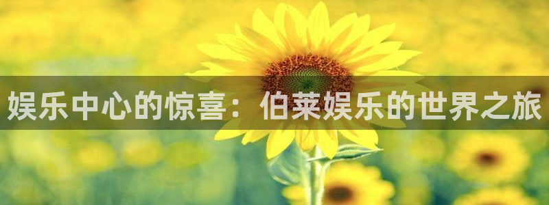 壹号国际app免费下载安装