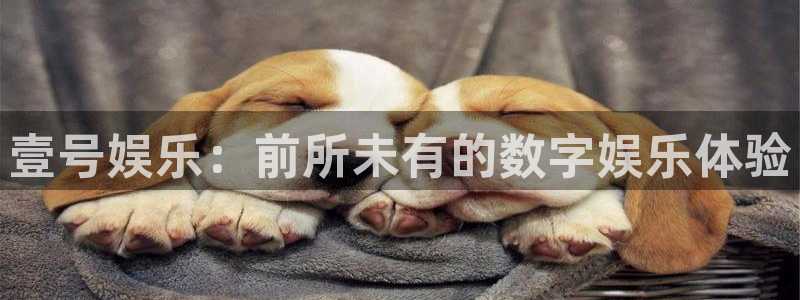壹号官方app下载安装
