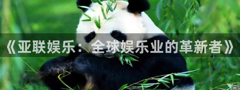 壹号官网app下载安装