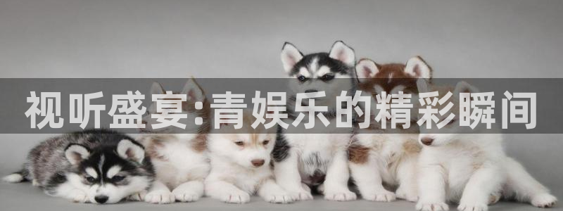 壹号娱乐下载
