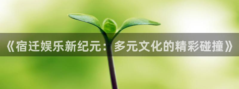 壹号app官网：《宿迁娱乐新纪元：多元文化的精彩碰撞》