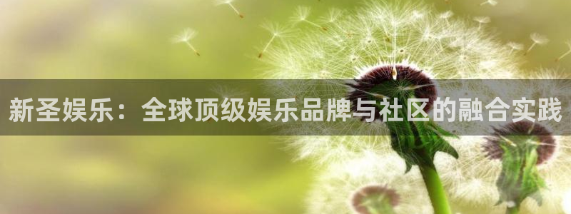壹号娱乐app官网下载：新圣娱乐：全球顶级娱乐品牌与社区的融合实践