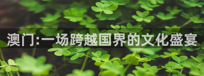 壹号娱乐充值怎么退款：澳门:一场跨越国界的文化盛宴