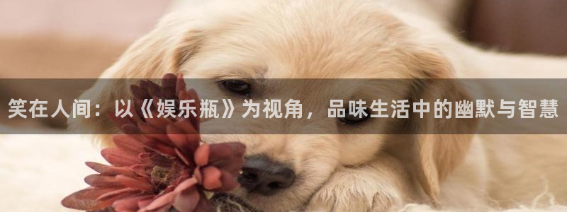 壹号娱乐app网页入口：笑在人间：以《娱乐瓶》为视角，品味生活中的幽默与智慧