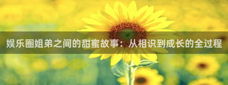 壹号娱乐平台app下载安装：娱乐圈姐弟之间的甜蜜故事：从相识到成长的全过程