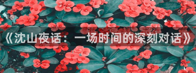 壹号大舞台娱乐传媒：《沈山夜话：一场时间的深刻对话》