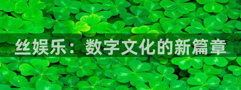 壹号大舞台,有梦你就来：丝娱乐：数字文化的新篇章