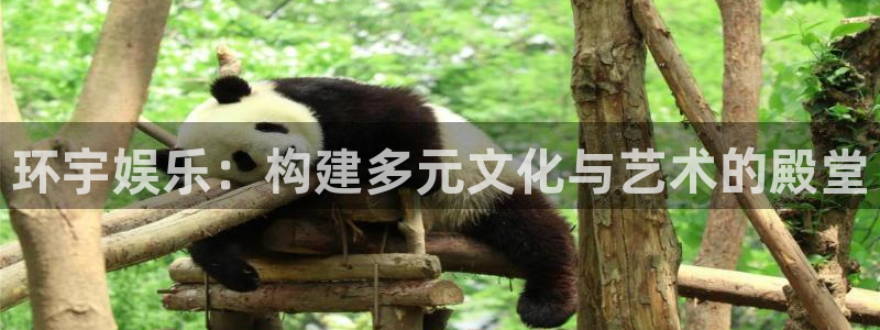 壹号电子娱乐app下载：环宇娱乐：构建多元文化与艺术的殿堂