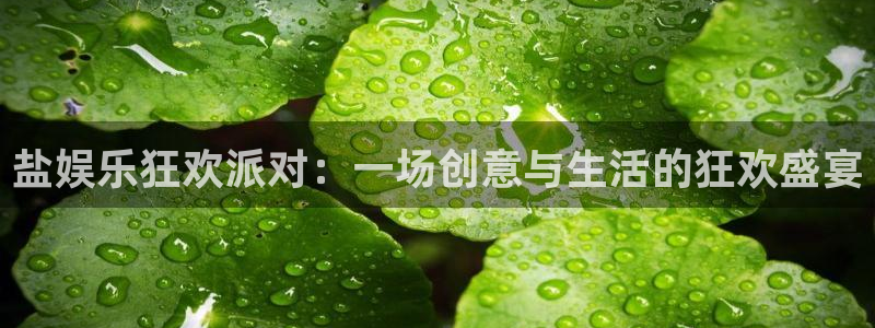 壹号平台app下载安装：盐娱乐狂欢派对：一场创意与生活的狂欢盛宴