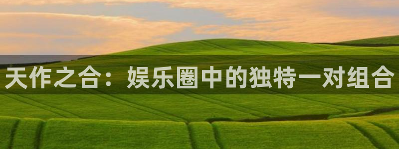 壹号大舞台,有梦你就来：天作之合：娱乐圈中的独特一对组合