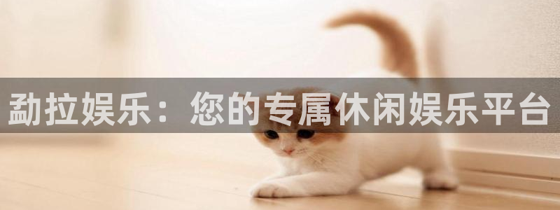 壹号娱乐 - ng大舞台,有梦你就来：勐拉娱乐：您的专属休闲娱乐平台